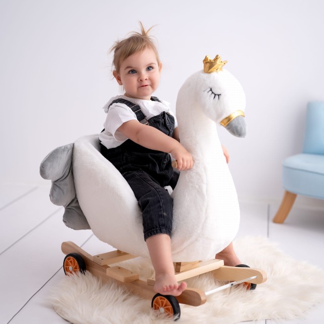 bujak-łabędź-łabądek-dla-dziecka-na-biegunach-YR24-17.jpg