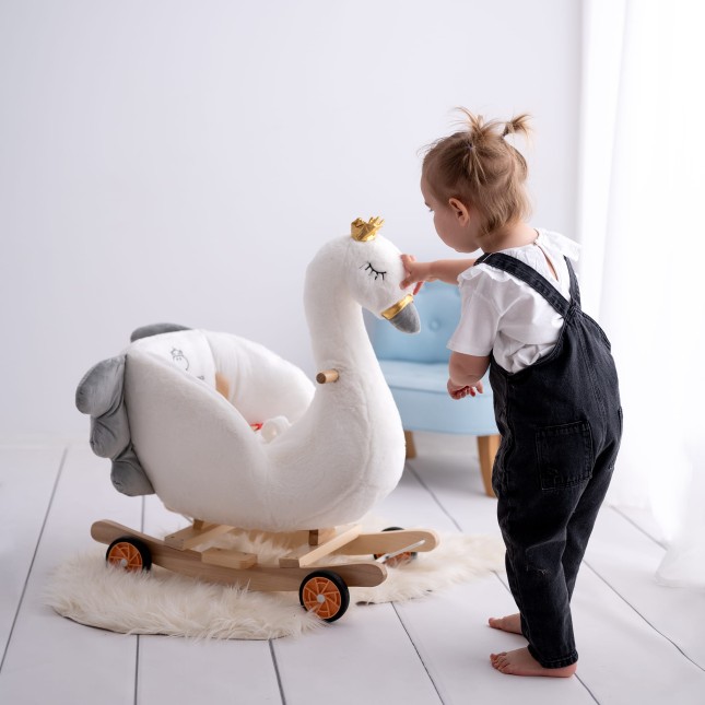 bujak-łabędź-łabądek-dla-dziecka-na-biegunach-YR24-18.jpg