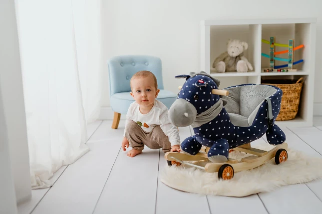 bujak_dla _dziecka_konik_na_biegunach_BUJ-1450_10.jpg